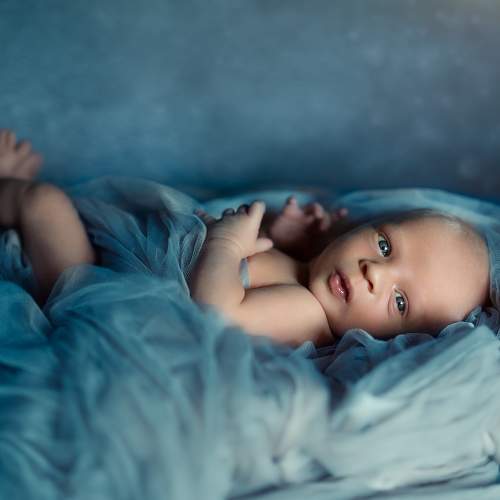 Photo #8848232