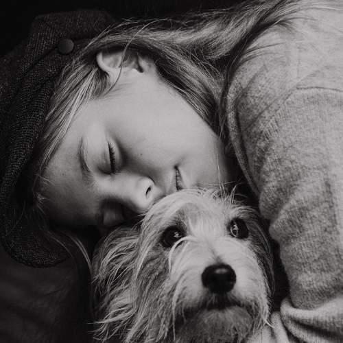 Photo #8848336
