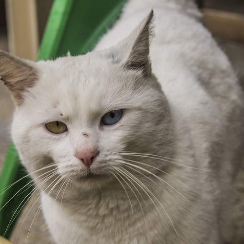Photo #8848444