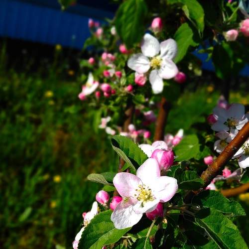 Photo #8848770