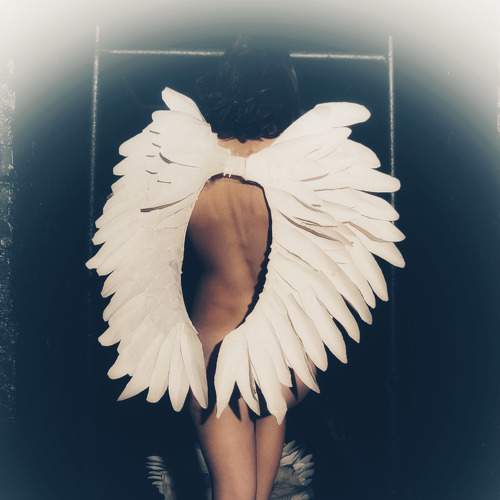Photo #8848815