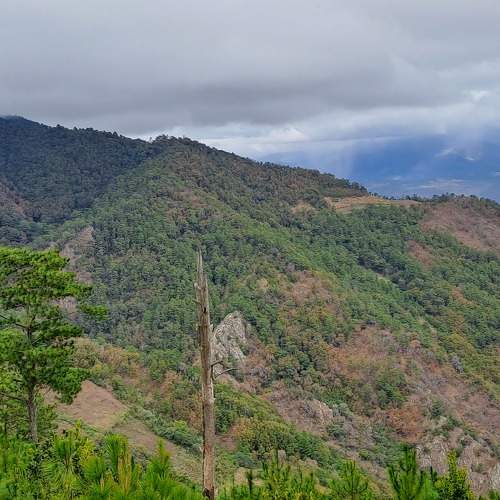 Photo #8848836