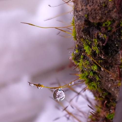 Photo #8848860