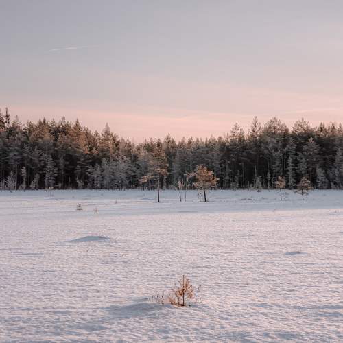 Photo #8848932