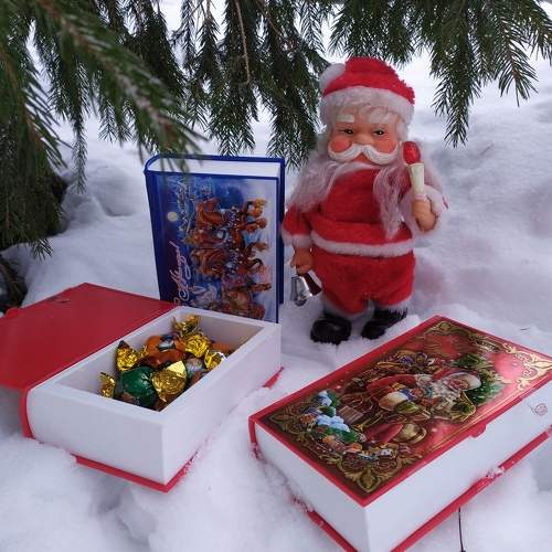 Photo #8849995