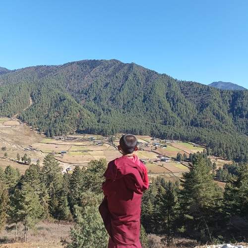 Photo #8850046