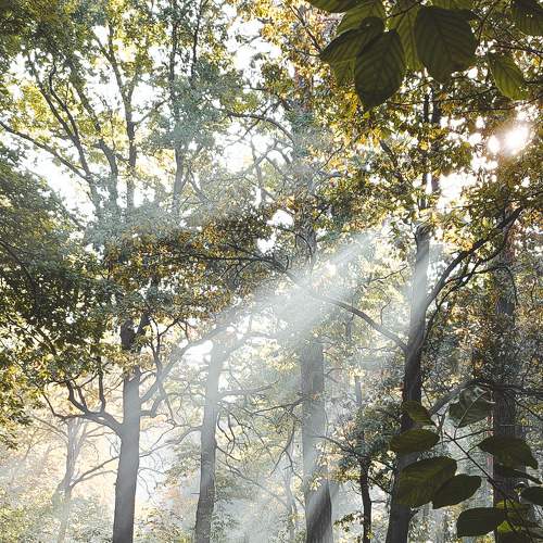 Photo #8850103