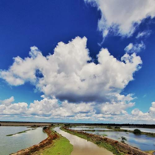 Photo #8850108