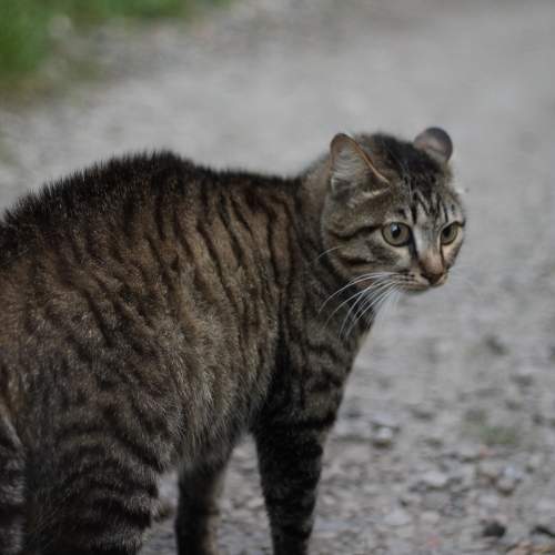 Photo #8850290