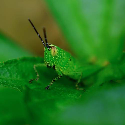 Photo #8850342