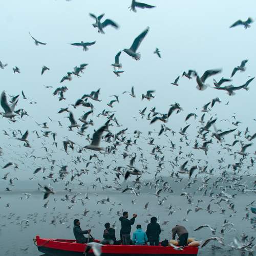 Photo #8850739
