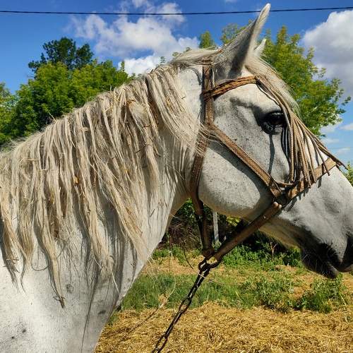 Photo #8850985