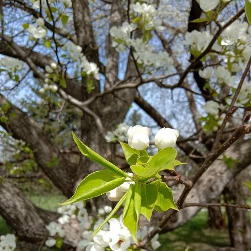 Photo #8851073