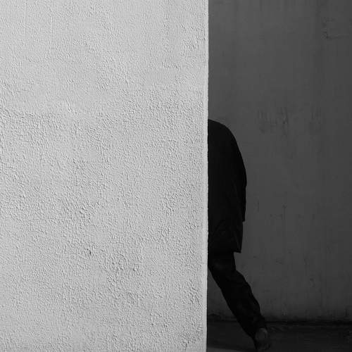 Photo #8851158