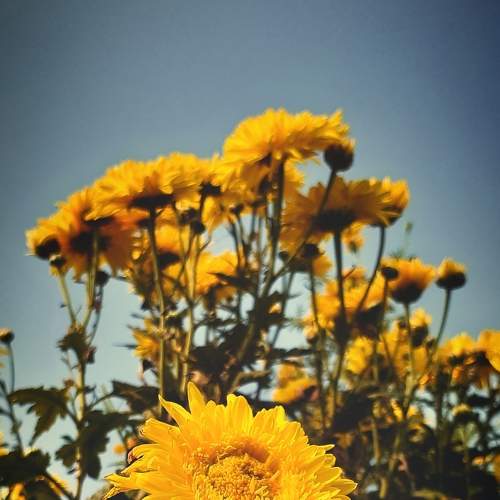 Photo #8851274