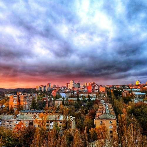 Photo #8851313