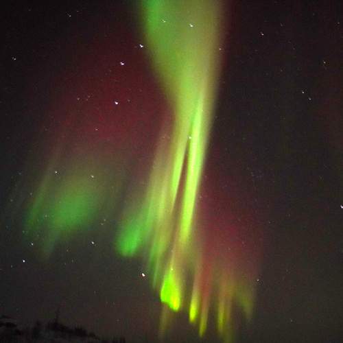 Photo #8851533
