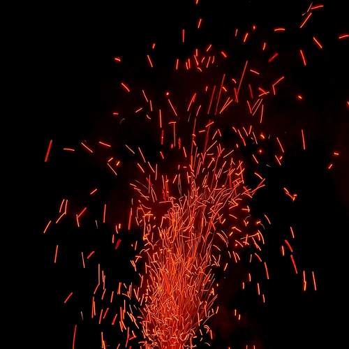 Photo #8852007