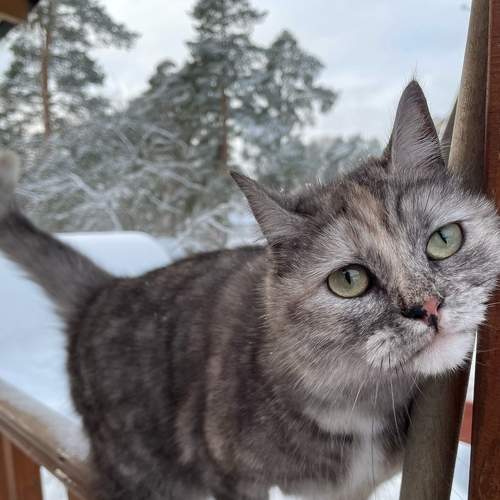 Photo #8852103