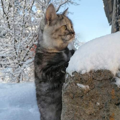 Photo #8852128