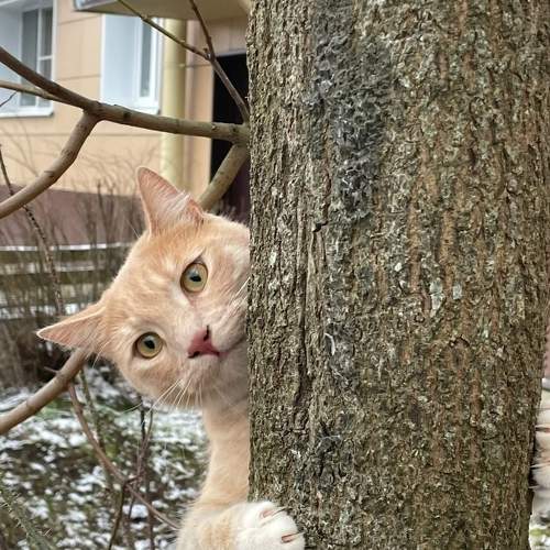 Photo #8852131