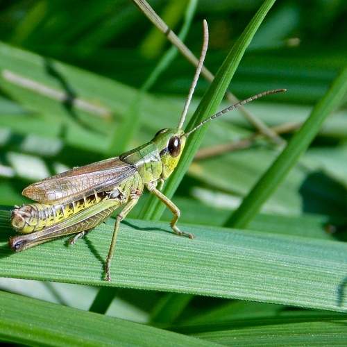 Photo #8852342