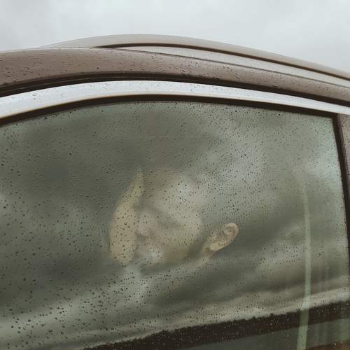 Photo #8852635