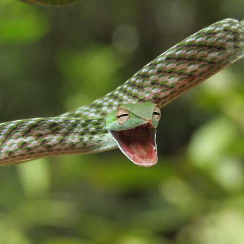 Photo #8852850