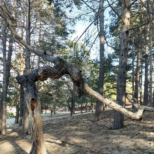 Photo #8852890