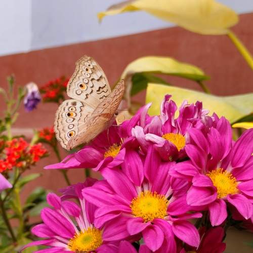 Photo #8852923