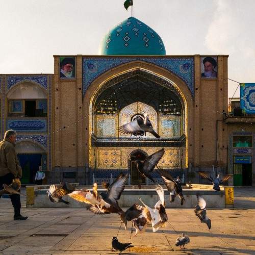 Photo #8853043