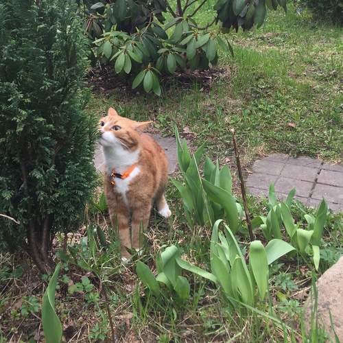 Photo #8853124