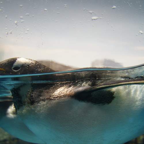 Photo #8853125