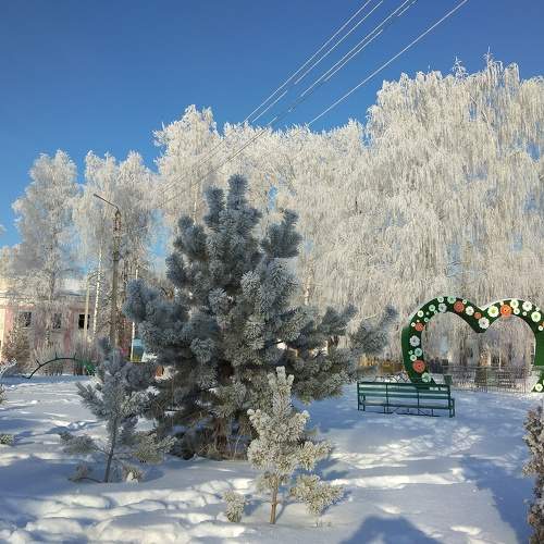 Photo #8853145