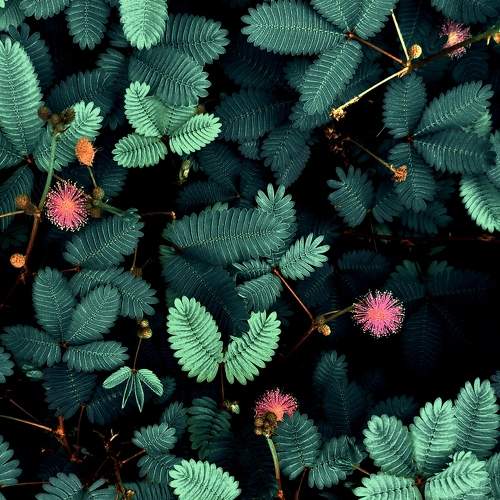 Photo #8853188