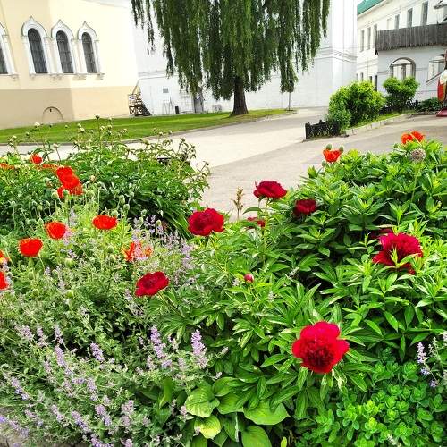 Photo #8853207