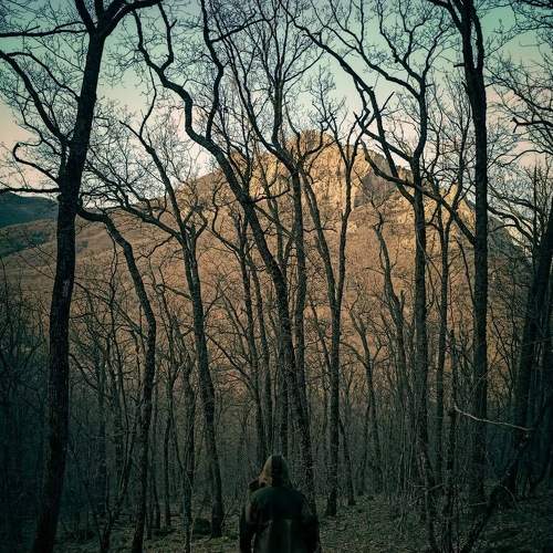 Photo #8853348