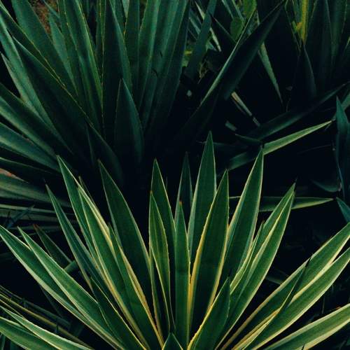Photo #8853469