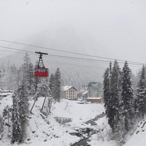 Photo #8853530