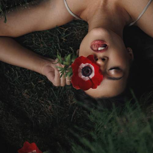 Photo #8853531