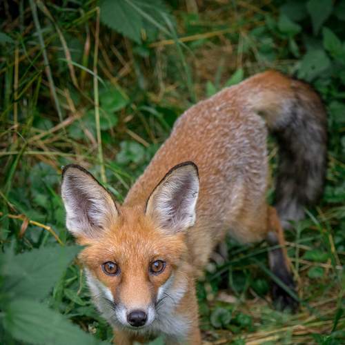 Photo #8853846