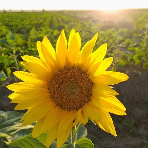 Photo #8853903