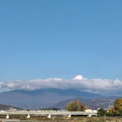 Photo #8853952