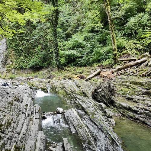Photo #8854030