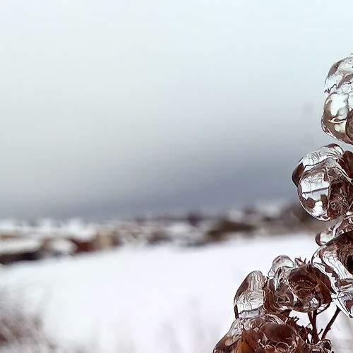 Photo #8854427