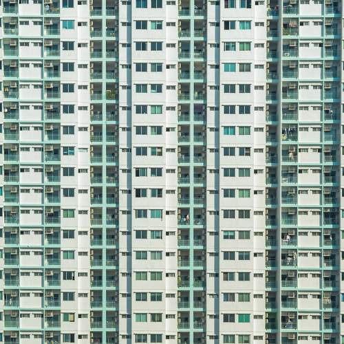 Photo #8854745