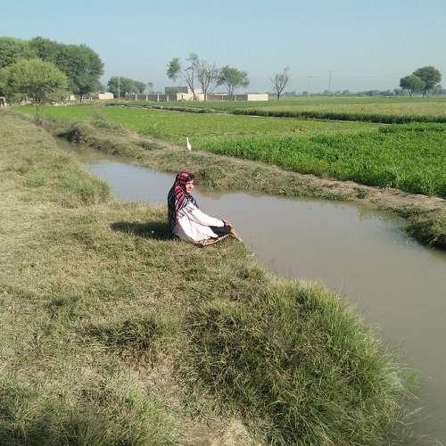 Photo #8854904