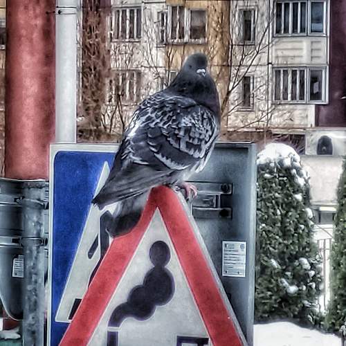 Photo #8855112