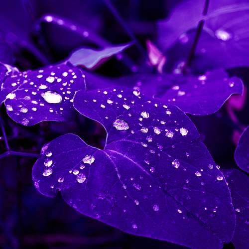 Photo #8855280