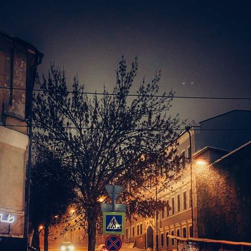 Photo #8855332